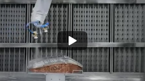 Robot Paint Curing